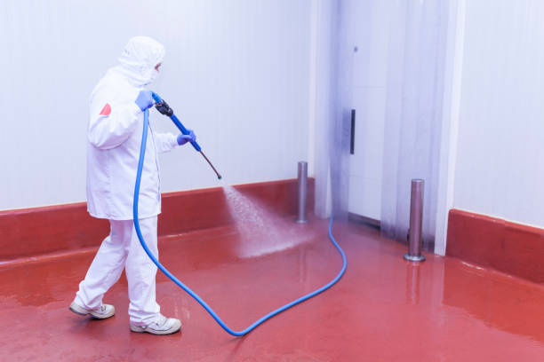 Best Patio and Deck Pressure Washing  in Rapid City, MI
